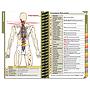 DOpocket Kentucky College of Osteopathic Medicine