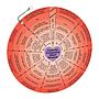 Cyanotic Congenital Heart Disease Wheel