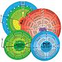 Neonatal Wheel Combo Pack